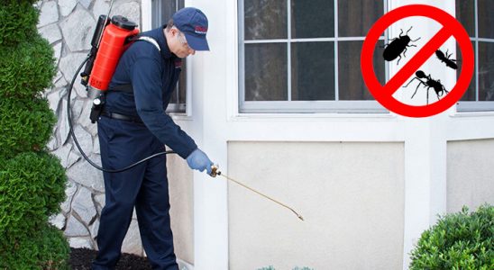 Güdül Kene İlaçlama böcek ilaçlama ve haşere kontrolü — ilaclama-tr.com